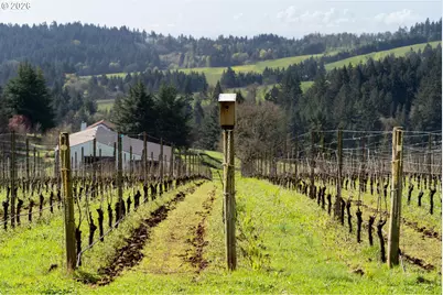 17001 NE Fairview Dr, Dundee, OR 97115 - Photo 43