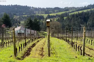 17001 NE Fairview Dr, Dundee, OR 97115 - Photo 43