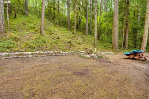 128 Northwoods Cabin, Cougar, WA 98616 - Photo 19