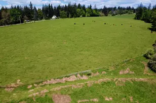 39143 SE Gibson Rd, Washougal, WA 98671 - Photo 9