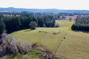39143 SE Gibson Rd, Washougal, WA 98671 - Photo 21