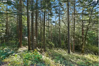 80 Echo Glen Rd, White Salmon, WA 98672 - Photo 43
