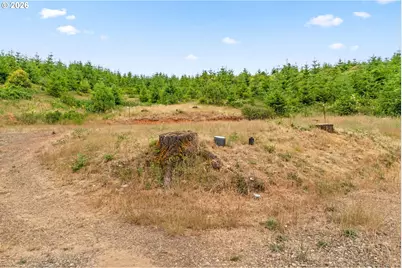 90245 Sheffler Rd, Elmira, OR 97437 - Photo 25
