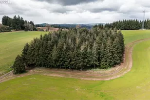 92884 Applegate, Junction City, OR 97448 - Photo 19