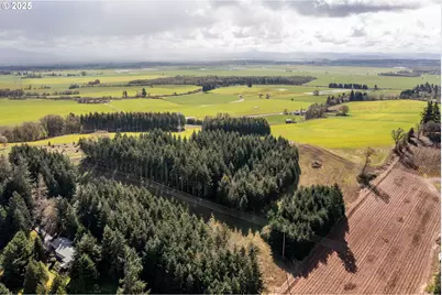 92884 Applegate, Junction City, OR 97448 - Photo 5