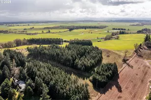 92884 Applegate, Junction City, OR 97448 - Photo 5