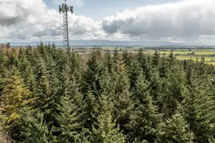 92884 Applegate, Junction City, OR 97448 - Photo 7