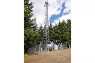 92884 Applegate, Junction City, OR 97448 - Photo 9