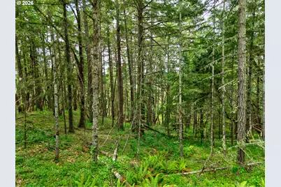 0 Wildflower Ln, Oakland, OR 97462 - Photo 15