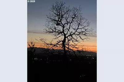 Se Rice Ln, Amity, OR 97101 - Photo 15