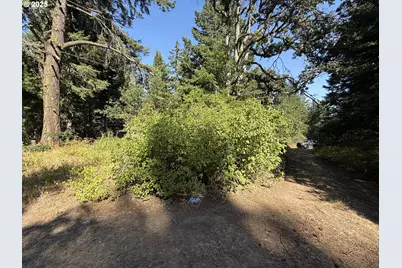 121 Cooke Rd, White Salmon, WA 98672 - Photo 13