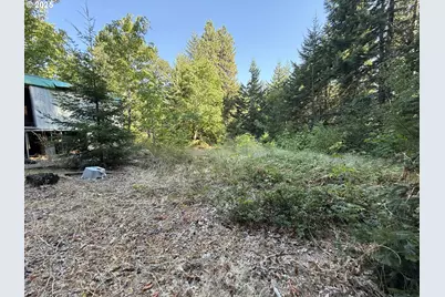 121 Cooke Rd, White Salmon, WA 98672 - Photo 43