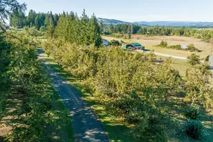 36189 Hwy 58, Pleasant Hill, OR 97455 - Photo 35