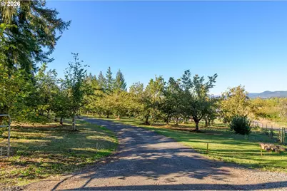 36189 Highway 58, Pleasant Hill, OR 97455 - Photo 33