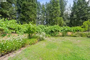 273 Fawn Ln, Azalea, OR 97410 - Photo 15