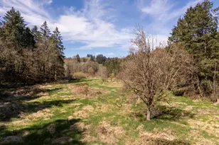 19855 NE Trunk Rd, Dundee, OR 97115 - Photo 35