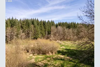 19855 NE Trunk Rd, Dundee, OR 97115 - Photo 31