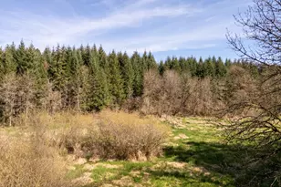 19855 NE Trunk Rd, Dundee, OR 97115 - Photo 31