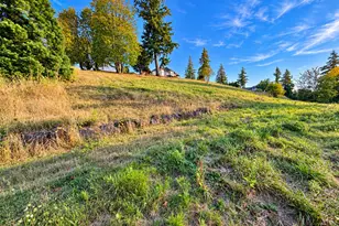 430 Sommerset Rd, Woodland, WA 98674 - Photo 1