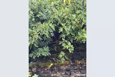 31970 Fern Rd, Philomath, OR 97370 - Photo 15