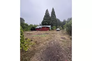 31970 Fern Rd, Philomath, OR 97370 - Photo 19