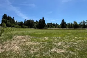 1 NE 144th St, Brush Prairie, WA 98606 - Photo 1