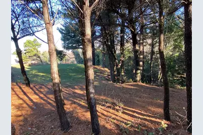 94542 Stansell St, Gold Beach, OR 97444 - Photo 29