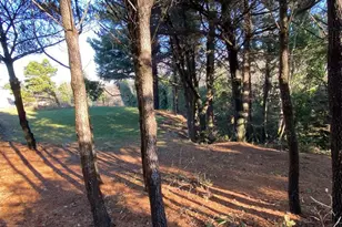 94542 Stansell St, Gold Beach, OR 97444 - Photo 29