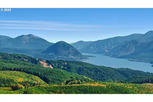 3031 Loop Rd, Stevenson, WA 98648 - Photo 5