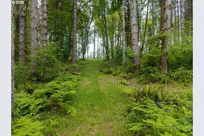 17024 Bratten Hill, Alsea, OR 97324 - Photo 13