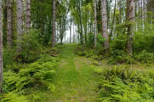 17024 Bratten Hill, Alsea, OR 97324 - Photo 13