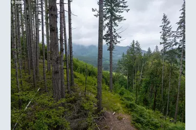 17024 Bratten Hill, Alsea, OR 97324 - Photo 11