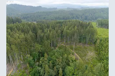 17024 Bratten Hill, Alsea, OR 97324 - Photo 7