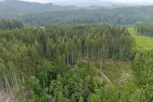 17024 Bratten Hill, Alsea, OR 97324 - Photo 7