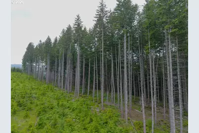 17024 Bratten Hill, Alsea, OR 97324 - Photo 15