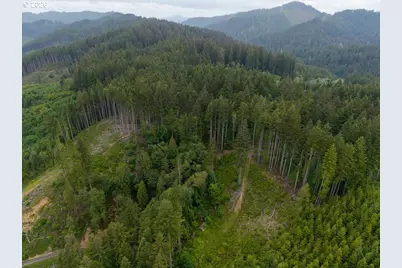 17024 Bratten Hill, Alsea, OR 97324 - Photo 9