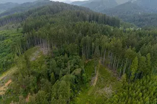 17024 Bratten Hill, Alsea, OR 97324 - Photo 9