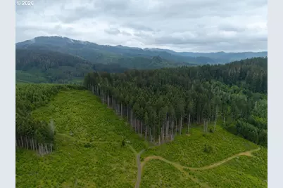 17024 Bratten Hill, Alsea, OR 97324 - Photo 5