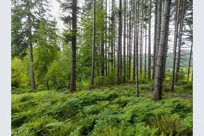 17024 Bratten Hill, Alsea, OR 97324 - Photo 23