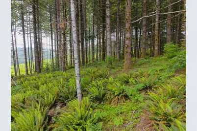 17024 Bratten Hill, Alsea, OR 97324 - Photo 25