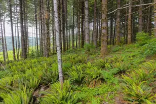 17024 Bratten Hill, Alsea, OR 97324 - Photo 25