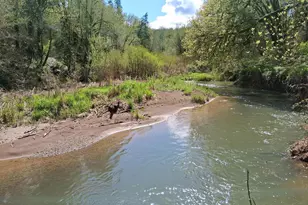50269 SW Hebo Rd, Grand Ronde, OR 97347 - Photo 3