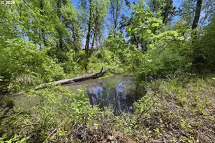 37340 Camp Creek Rd, Springfield, OR 97478 - Photo 29