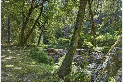 12290 Highway 126, Mapleton, OR 97453 - Photo 39