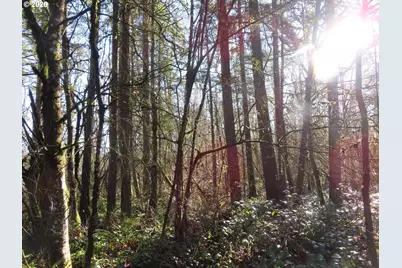 115 Campground Ln, Winlock, WA 98596 - Photo 11