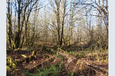 115 Campground Ln, Winlock, WA 98596 - Photo 9