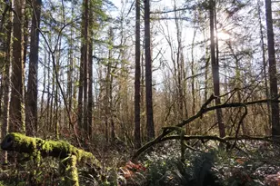 115 Campground Ln, Winlock, WA 98596 - Photo 1