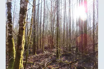 115 Campground Ln, Winlock, WA 98596 - Photo 5