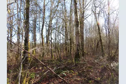 115 Campground Ln, Winlock, WA 98596 - Photo 17