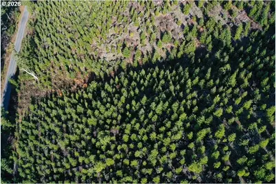 McMullen Creek Rd, Selma, OR 97538 - Photo 17